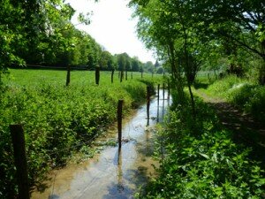 Chemin creux longeant la rivière - Canton de Cormeilles en Pays d'Auge