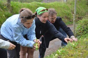 Balade Saveurs Sauvages