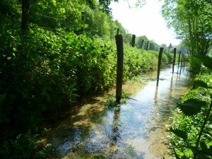 L'omniprésence de l'eau sur le Canton de Cormeilles Le canton de Cormeilles arrosé par les nombreux affluents de la Calonne