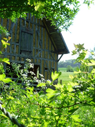 Charme d'un bâtiment normand en Pays d'Auge