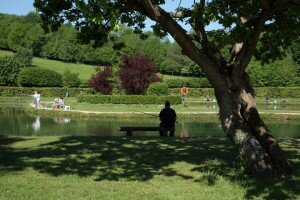 La pisciculture de la Calonne d'Asnières