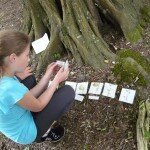 Animation Nature Les Haies'stivales