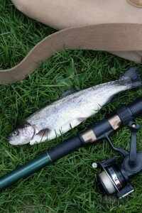 La Pêche dans le canton de Cormeilles