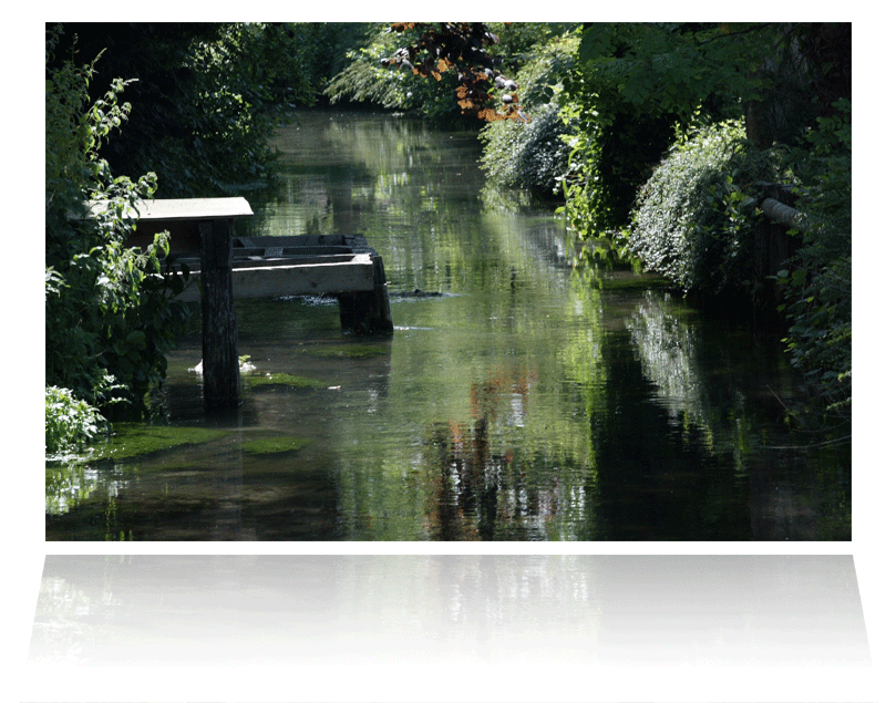 Cormeilles en Pays d'Auge - Les bords de la Calonne
