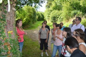 Randonnée - Sentier de la Biodiversité - Canton de Cormeilles en Pays d'Auge