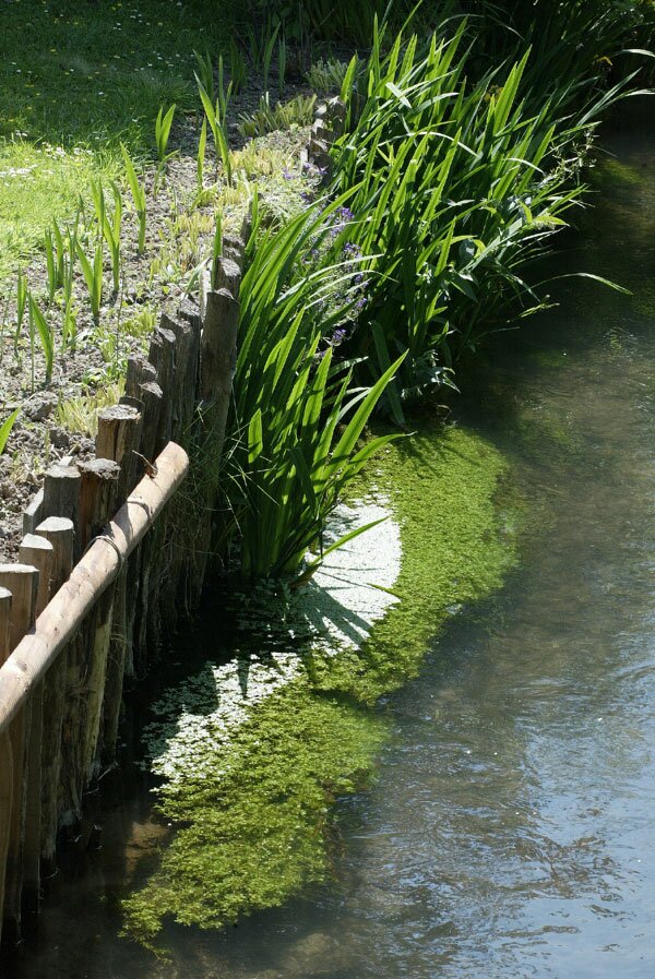 Cormeilles en Pays d'Auge - Les berges de la Calonne