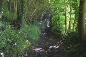 Les chemins creux du canton de Cormeilles en Pays d'Auge