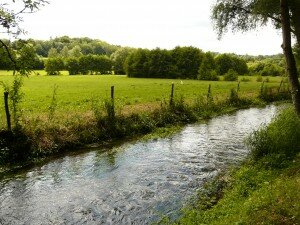 Les prairies bordées par la Calonne - Canton de Cormeilles en Pays d'Auge